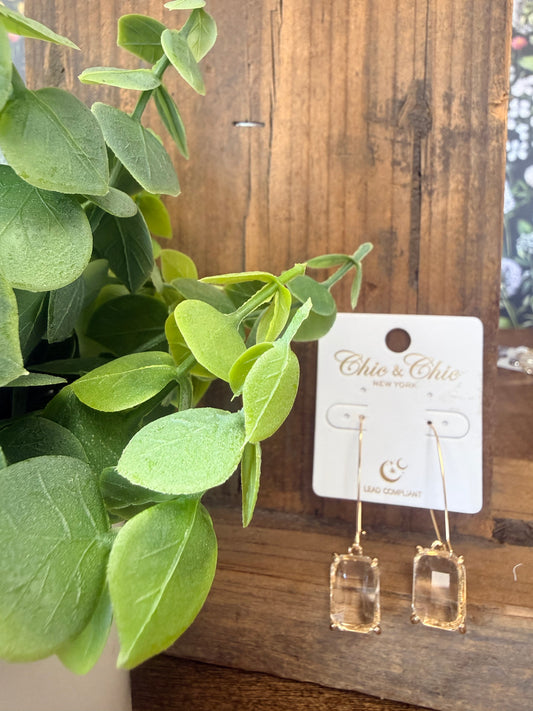 Clear Crystal Dangle Earrings